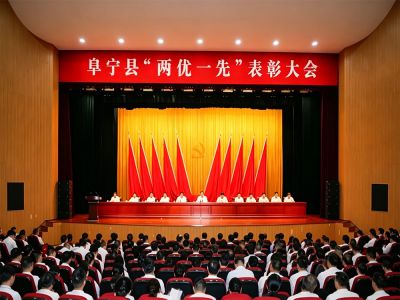 党建领航启新程 实干争先庆华诞-江苏金海新能源科技有限公司获评阜宁县 “先进基层党组织”